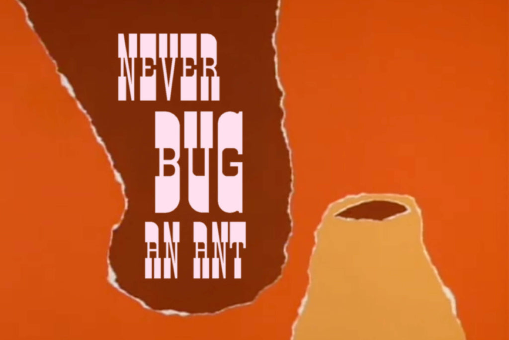 Aardvark Typeface