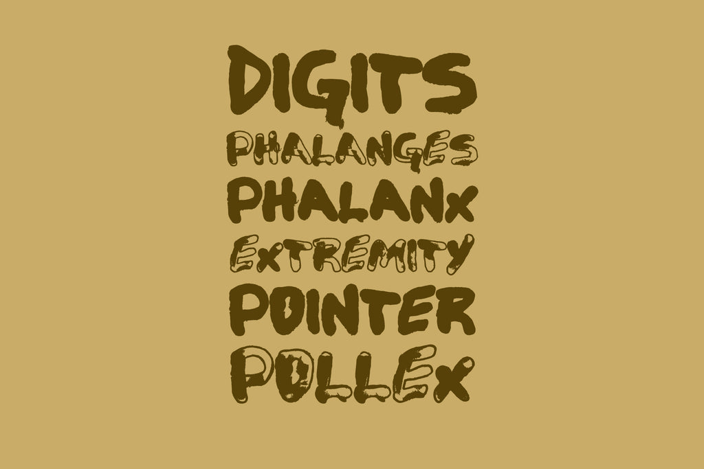 Finger Typeface