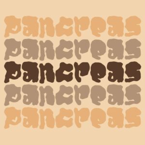 Pancreas