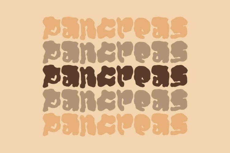 Pancreas